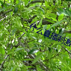 鸿运国际·(中国)会员登录入口