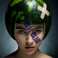 看片直播