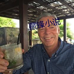 藏锋小说