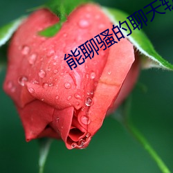 能聊(liáo)骚的聊(liáo)天软件