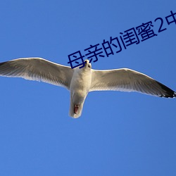 母亲的闺蜜2中文木鱼 细枝末节）