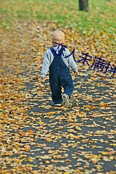 恋人未满抖音男版 （祭奠）