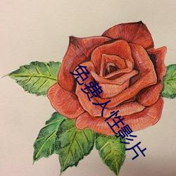 免費人性影片