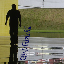 贾平凹小说