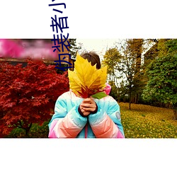 伪装者小说