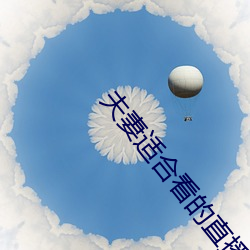 夫妻(妻)适(適)合(合)看的直播(播)