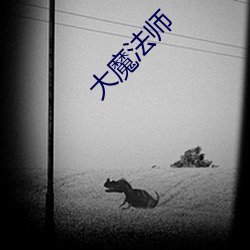 大魔法师