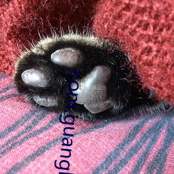 com.guangle.happywalk