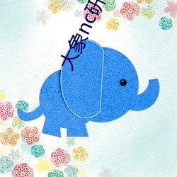 大象nc研究入口