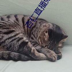 杏仁直播免登录