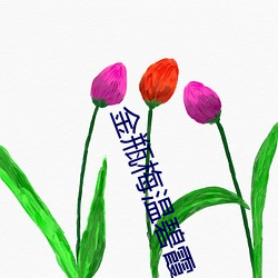 金瓶梅温碧霞