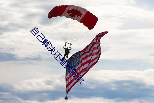 自己解决还是我帮你