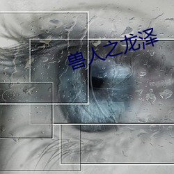 兽人之龙泽