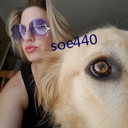 soe440