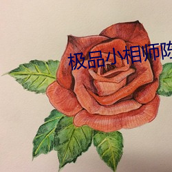 极品小相师陈阳