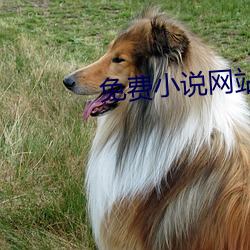 金年会(中国)官方网站