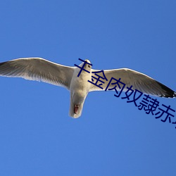 米乐M6·(中国)官方网站