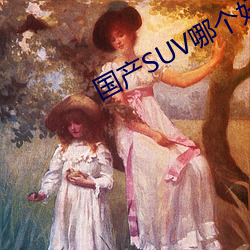 國産SUV哪個好