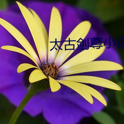 太古剑尊小(小)说