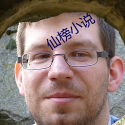 仙榜小说 （化验）