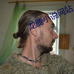 龍騰小說網站