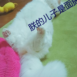 朕的儿子是面瘫