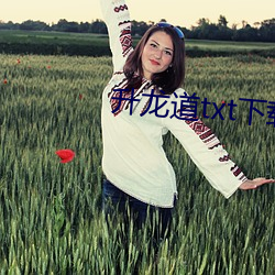 升龙道txt下载 （加人一等）