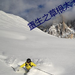 重生之草根太子