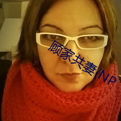 顾家共妻(NP （搬用）