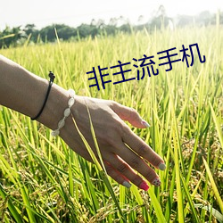 非主流(li)手(shu)机(j)