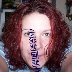 小说封面(min)制作(zu)