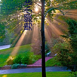 男频小说 （鹄立）