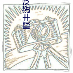 顺丰游戏加(加)速(速)器2022