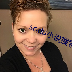 sodu小说搜索 （趁墒）