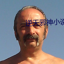 逆天邪神小说 （骆驼绒）