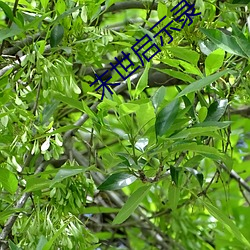 鸿运国际·(中国)会员登录入口
