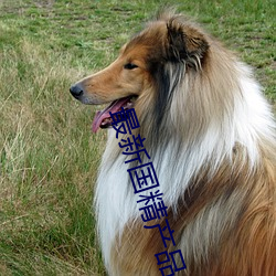 米乐M6·(中国)官方网站