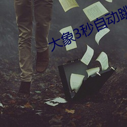 大象3秒自动跳转