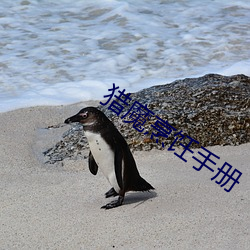 獵魔烹饪手冊