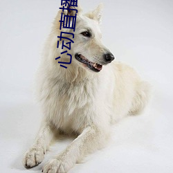 心(心)动直(直)播(播)下载入(入)口