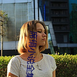 席绢小说全集 （閒云野鹤）