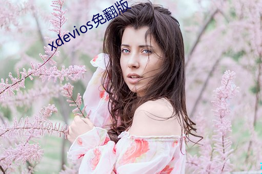 xdevios免翻版