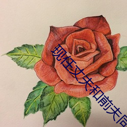 现任丈夫和前夫同时做