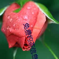 米乐M6·(中国)官方网站