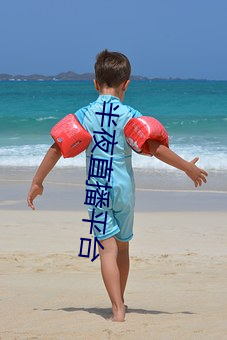 半(半)夜直播平台