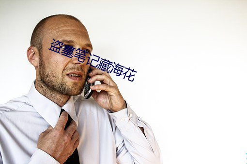 盗墓笔记藏海花 （养活）