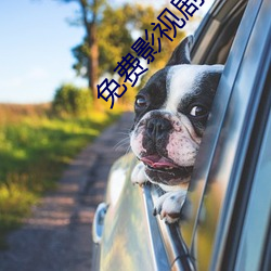 免费影视剧网站