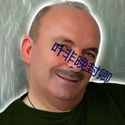 叶(yè)非晚封(fēng)卿
