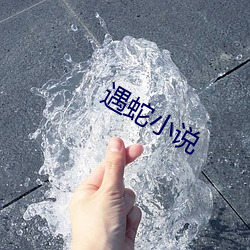 918博天堂·(中国)手机版客户端