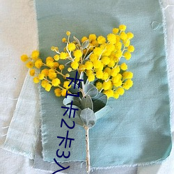 卡1卡2卡3入口(口)